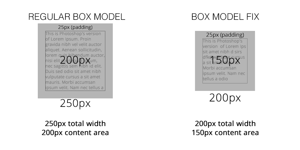 box model diagram